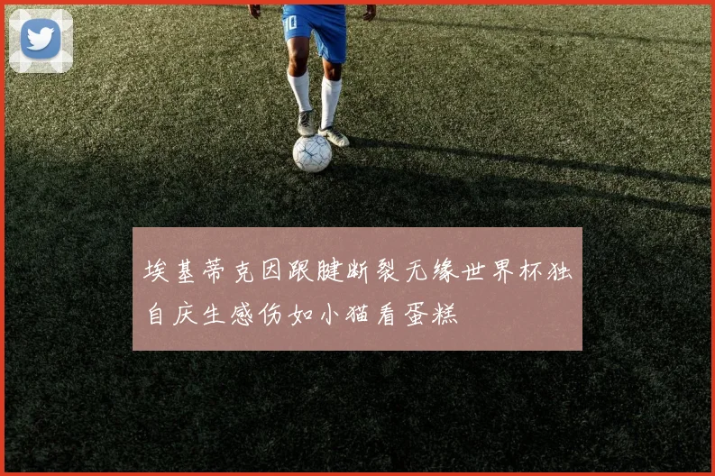埃基蒂克因跟腱断裂无缘世界杯独自庆生感伤如小猫看蛋糕