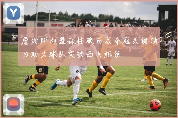 詹姆斯加盟森林狼或成夺冠关键助力助力球队突破西决瓶颈