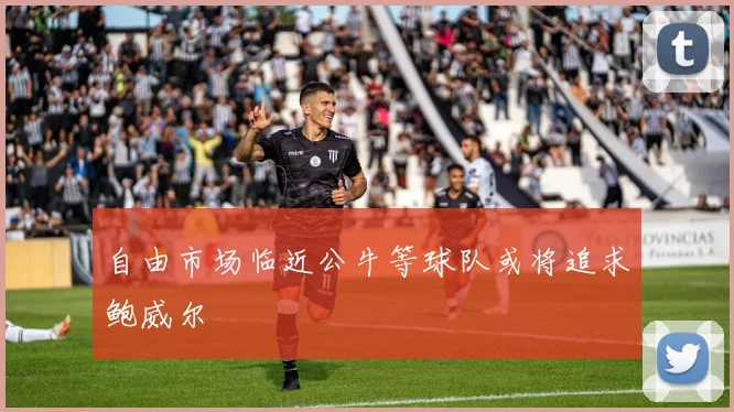 自由市场临近公牛等球队或将追求鲍威尔